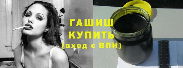 индика Бородино