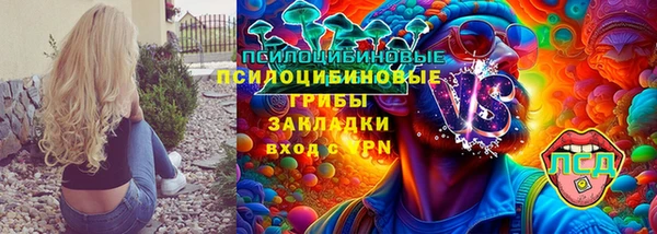 индика Бронницы